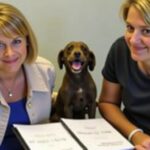 Guide pratique pour adopter un animal auprès de la Société Protectrice des Animaux de Charleroi